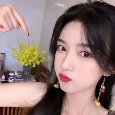 蜘蛛池中的IP地址轮换策略